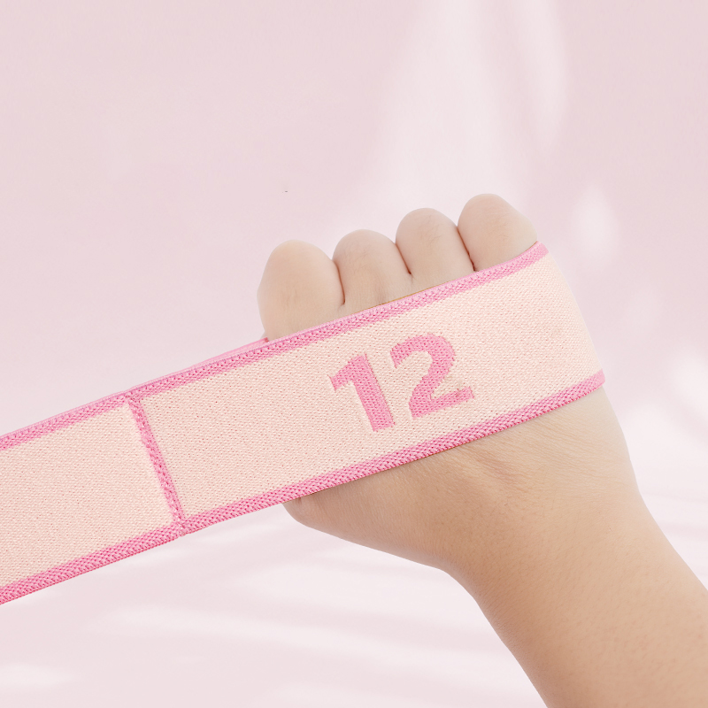 Yoga Elastic Stretch Band Resi - đánh giá và giá Milanaise Mesh Band